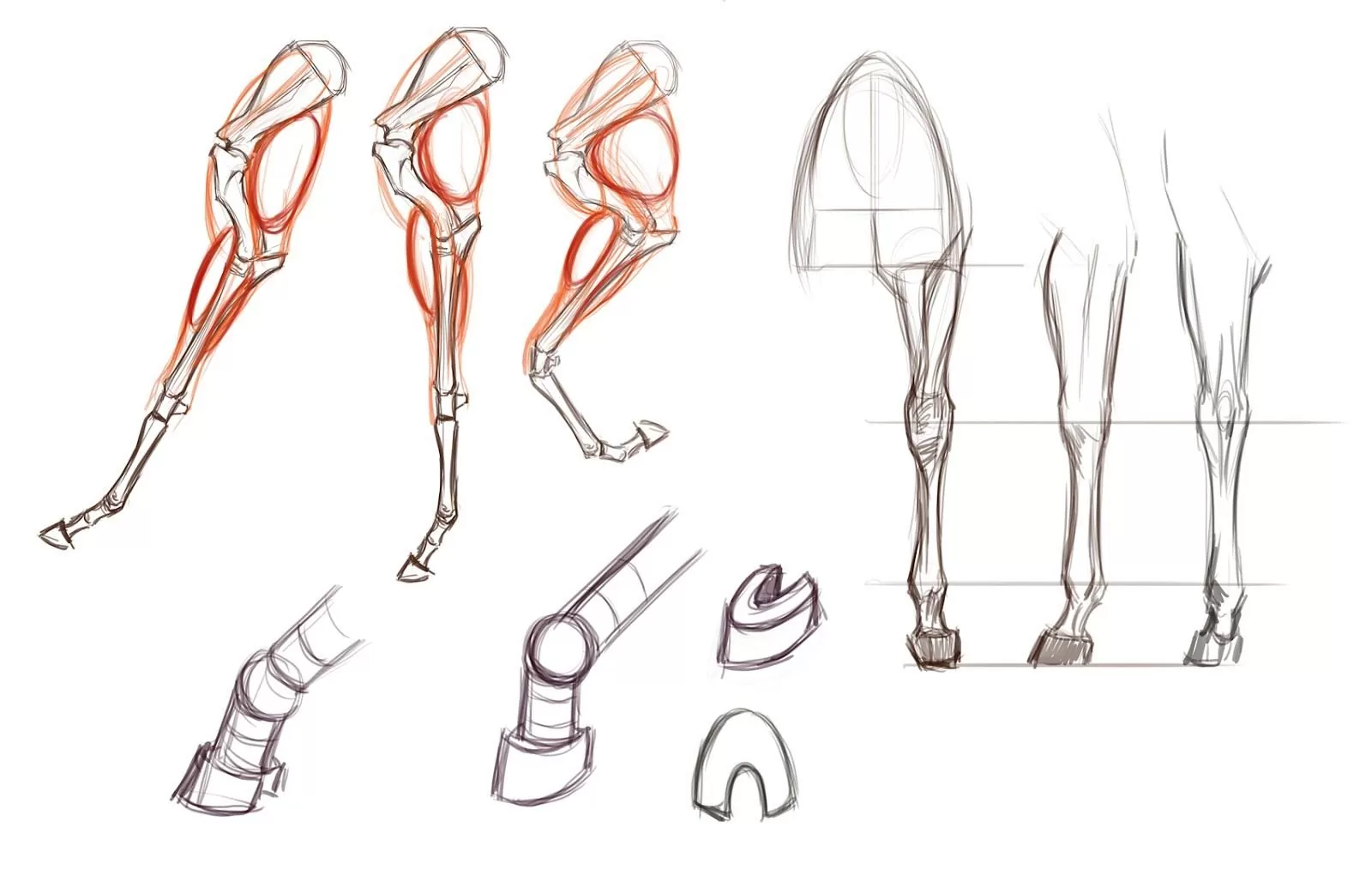Нарисовать лошадь или единорога поэтапно: детальная инструкция как рисовать карандашом для начинающих
