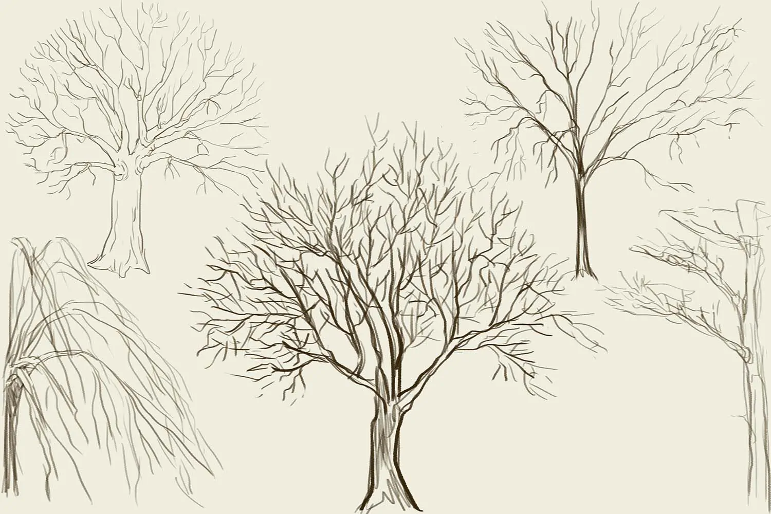 Как рисовать дерево 
