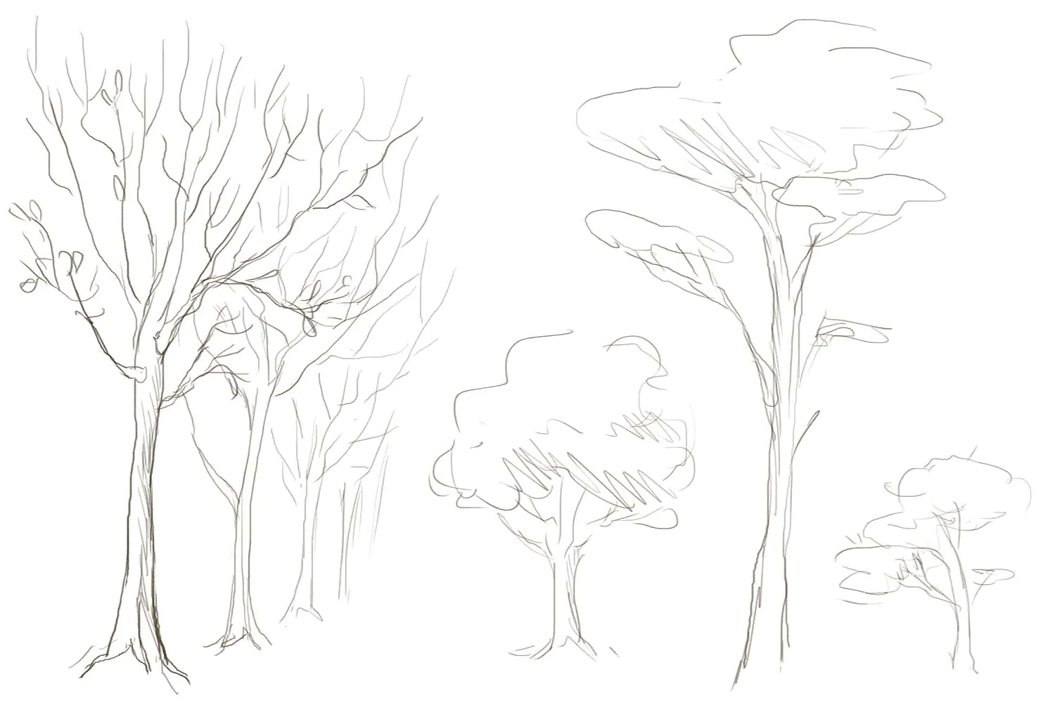 Как рисовать дерево 