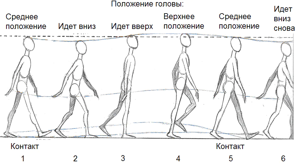 Основные понятия кинематики в рисовании