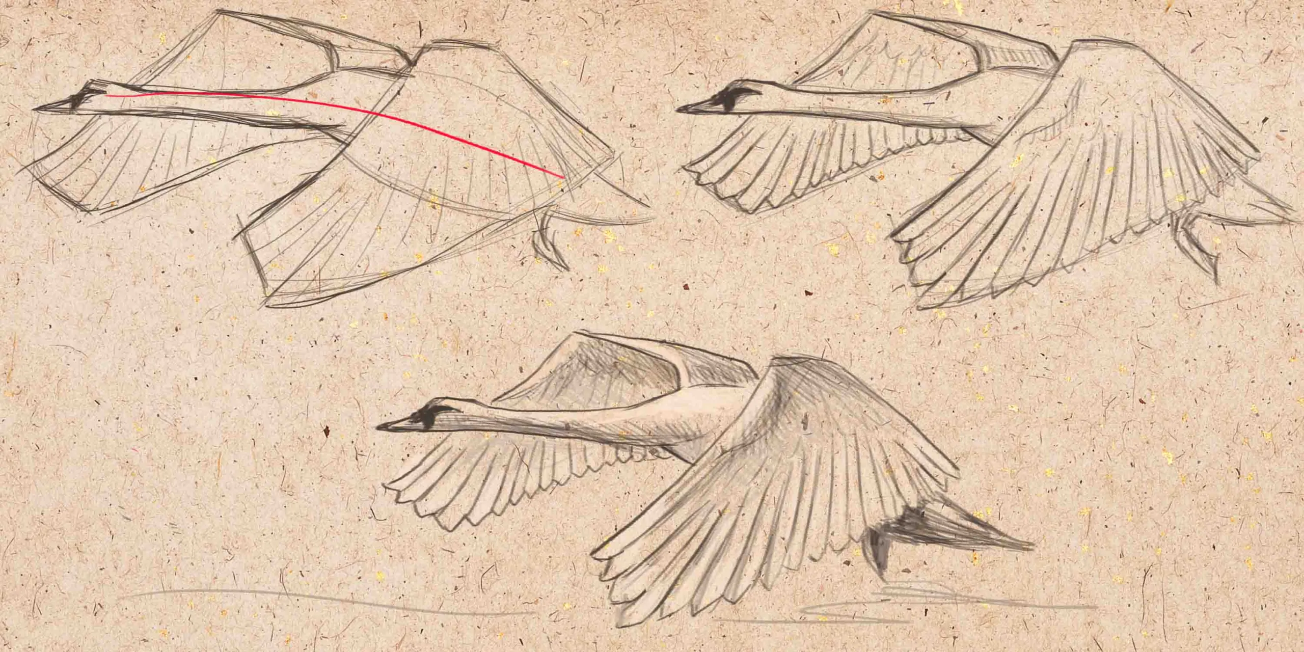 Основные понятия кинематики в рисовании