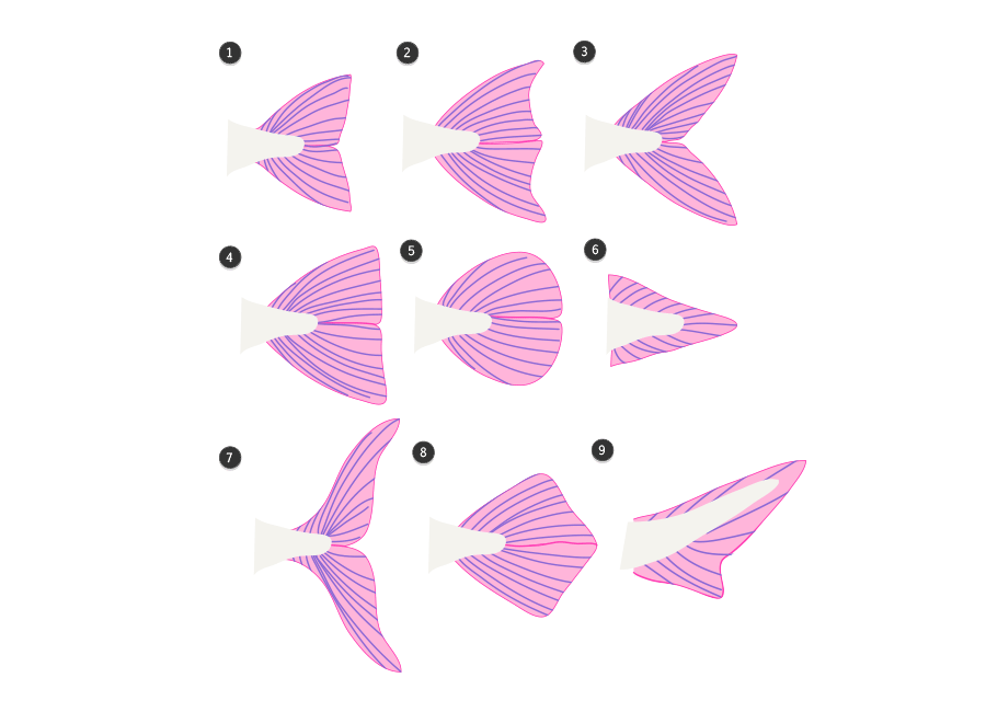 Типы форм хвостовых плавников