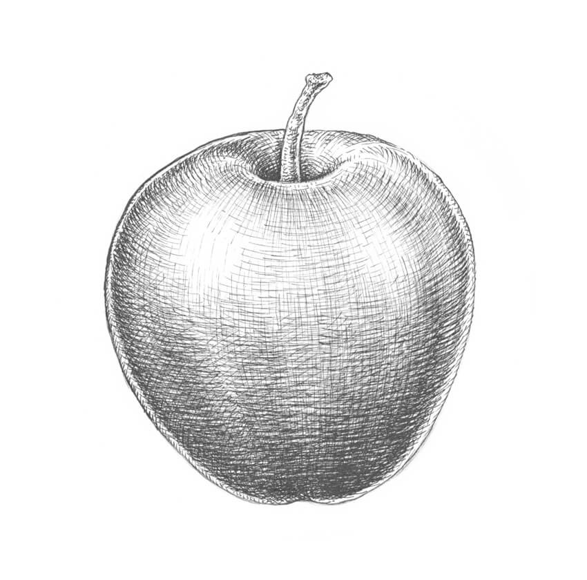 Как рисовать яблоко карандашом