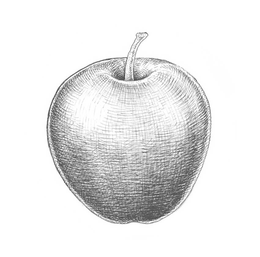 Как рисовать яблоко карандашом